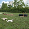 Pet-Friendly Communities in Franklin County, Ohio: Find the Perfect Place for You and Your Furry Friend